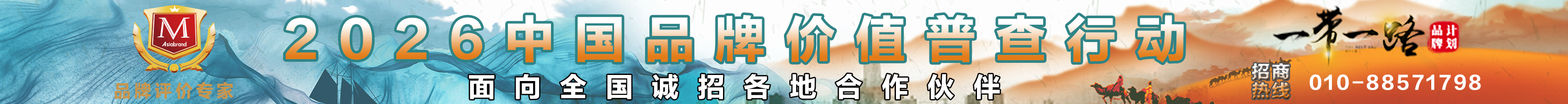 企业品牌价值评价